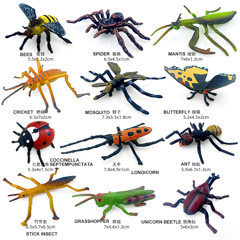 12pcs 야생 곤충 동물 모델 세트 나비 전갈 사마귀 - Model Kit Lizard 리뷰 및 가격