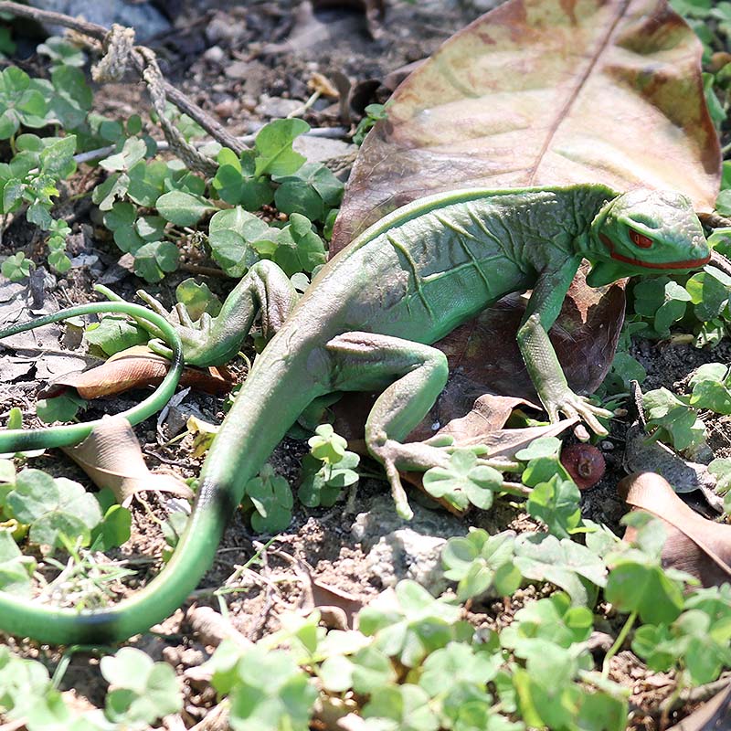 Oenux 농장 야생 모델 시뮬레이션 도마뱀 박쥐 토끼 - Model Kit Lizard 리뷰 및 가격