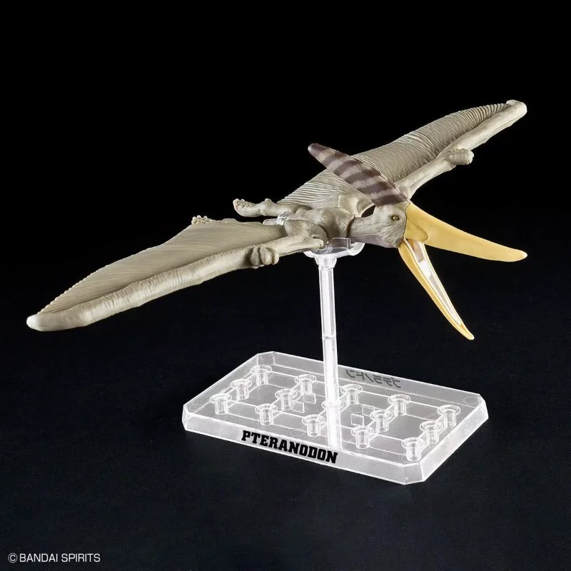 반다이 플라노사우루스 테라노돈 공룡 골격 화석 조립 모 - Model Kit Dinosaur Bandai 리뷰 및 가격